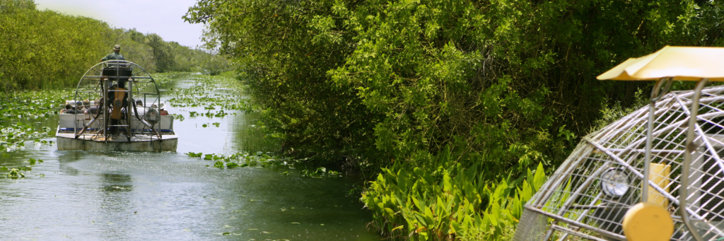 Everglades air boat