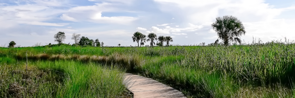 Everglades trails