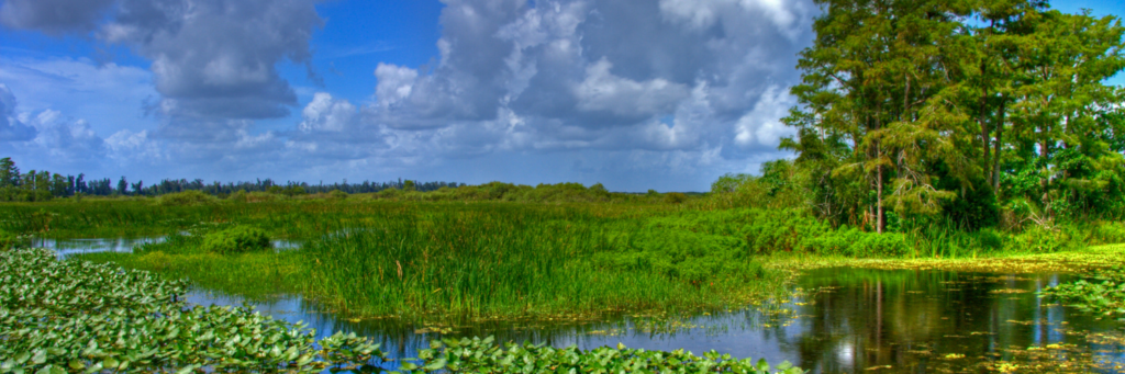 Everglades