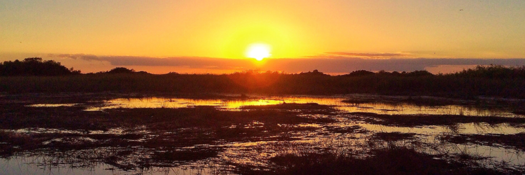 Everglades sunset